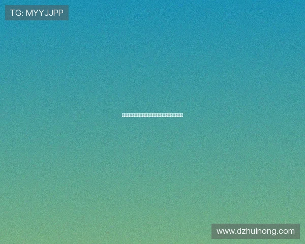 上海滑板队在滑板节奏排行榜中荣获第二名的辉煌成就