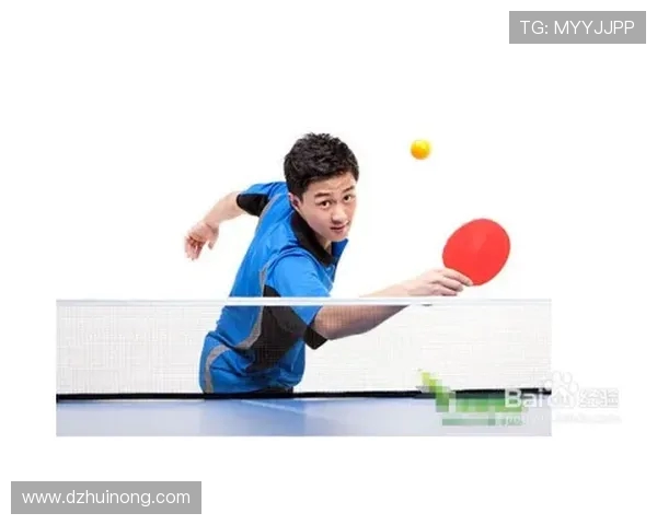 乒乓球新手必看：从基础技巧到实战配合的全面入门指南