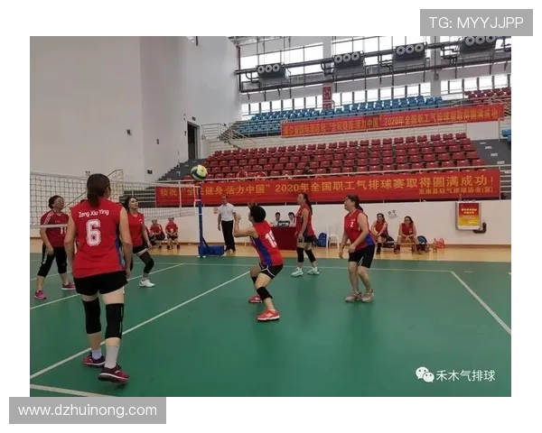 北京排球队阵地战体系解析与战术创新探讨