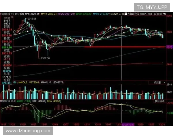 广州羽毛球队与重庆羽毛球队赛后复盘分析比赛节奏与战术对比
